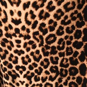 Super Stretch Leopard Pencil Skirt